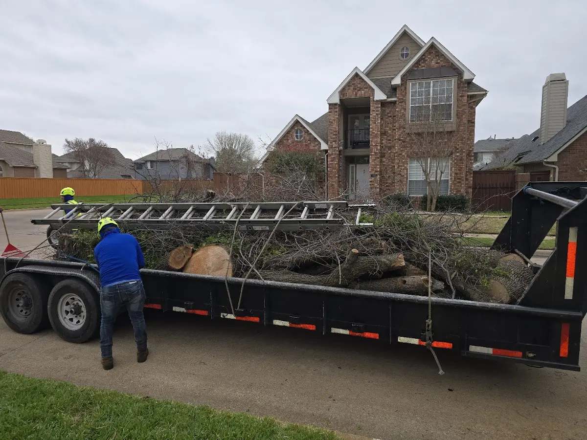 Expert Tree Fertilization with proper safety equipment in Huddleston